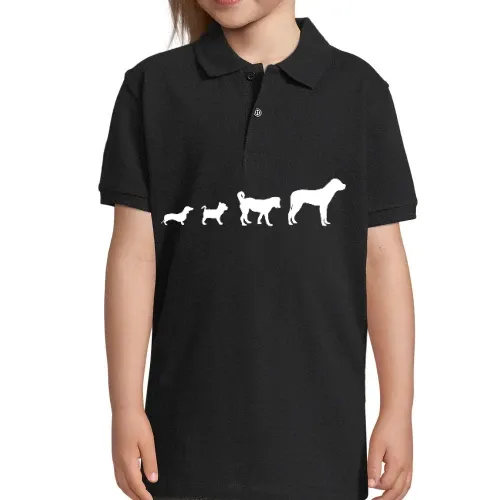 Hunde Evolution Polo