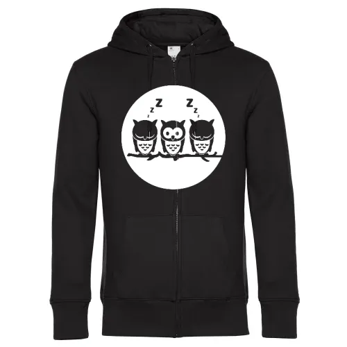 Drei Eule auf Ast vorm Vollmond Männer Hoodie