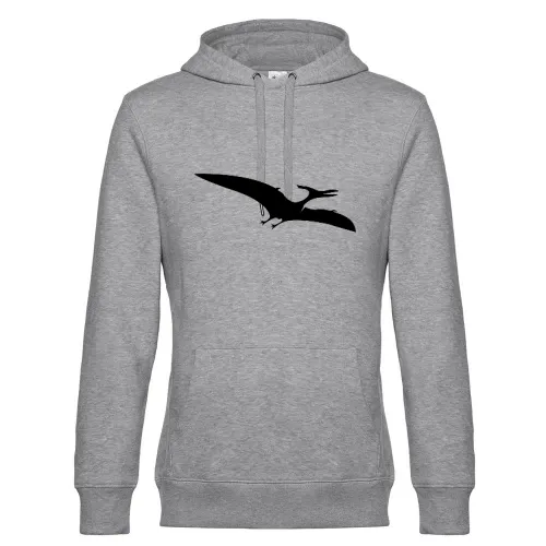 Flugsaurier Männer Hoodie