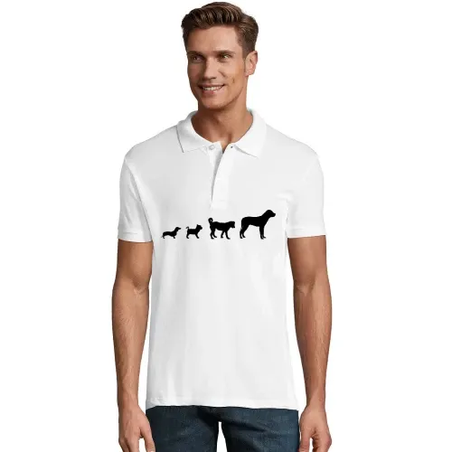 Hunde Evolution Polo