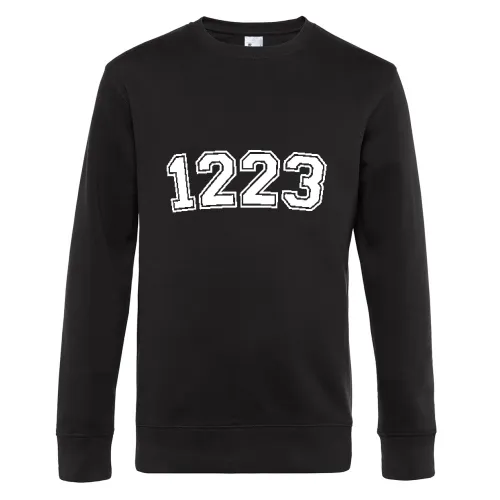 1223 Sweat Männer King Crew Neck