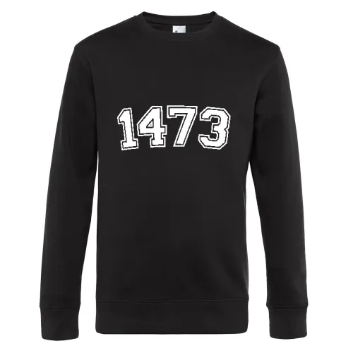 1473 Sweat Männer King Crew Neck
