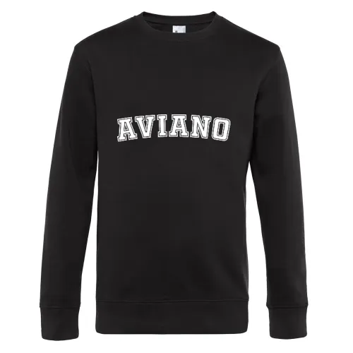 Aviano Sweat Männer King Crew Neck