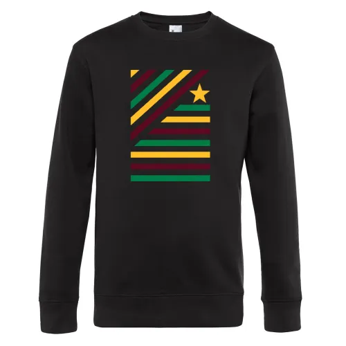Farbspeil in diagonalen Streifen und Stern 2 Sweat Männer King Crew Neck