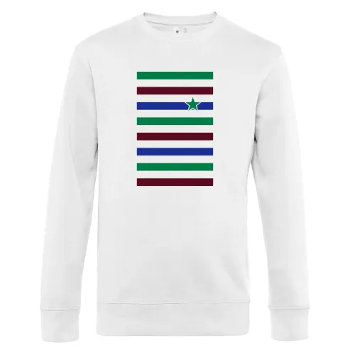 Farbspiel in Streifen und Stern Sweat