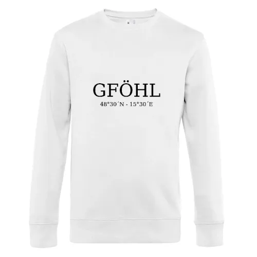 Gföhl Koordinaten Sweat Männer King Crew Neck