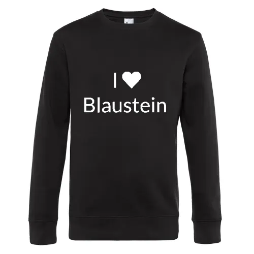 I Love Blaustein Sweat
