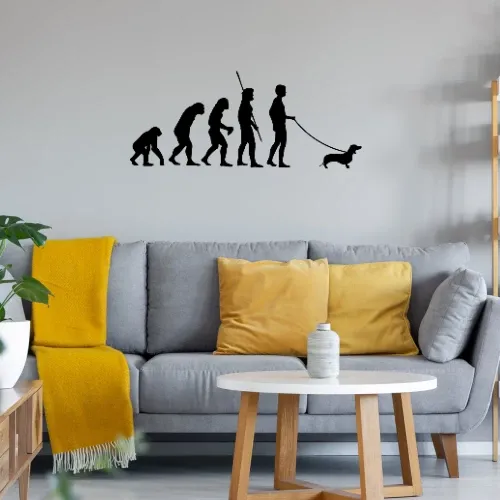 Evolution Dackel Sonstig. Wandtattoo